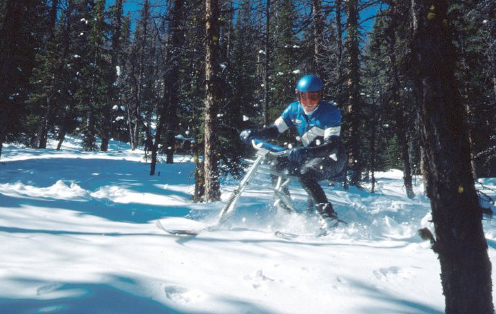 Kevan Leycraft in the Lynx trees. Lake Louise, Alberta. April, 1989.