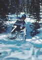Kevan Leycraft carving through the Lynx trees. <br />Lake Louise, Alberta. April, 1989.